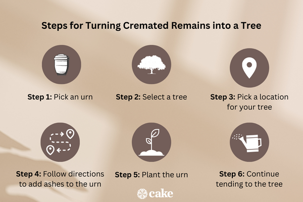 Steps for Turning Cremated Remains Into a Tree With a Biodegradable Urn